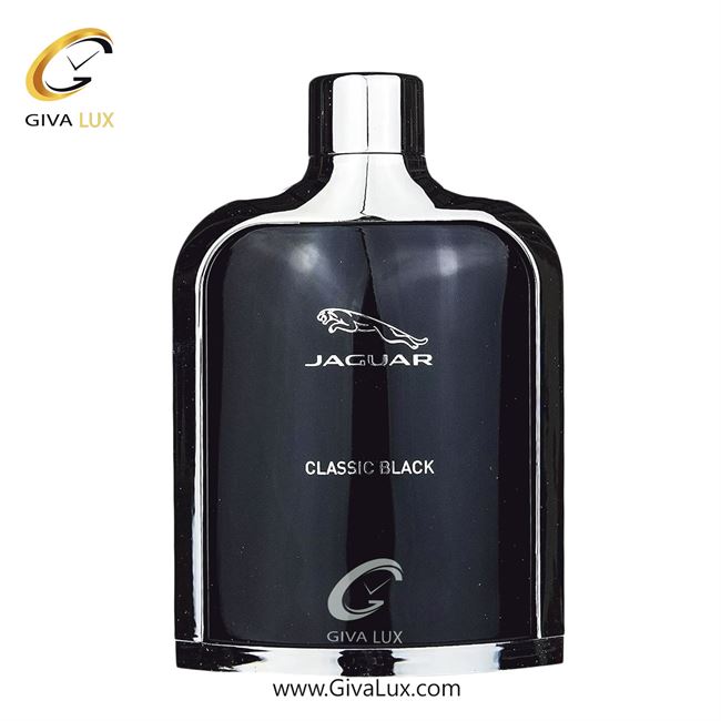   Jaguar Classic Black.jpg
